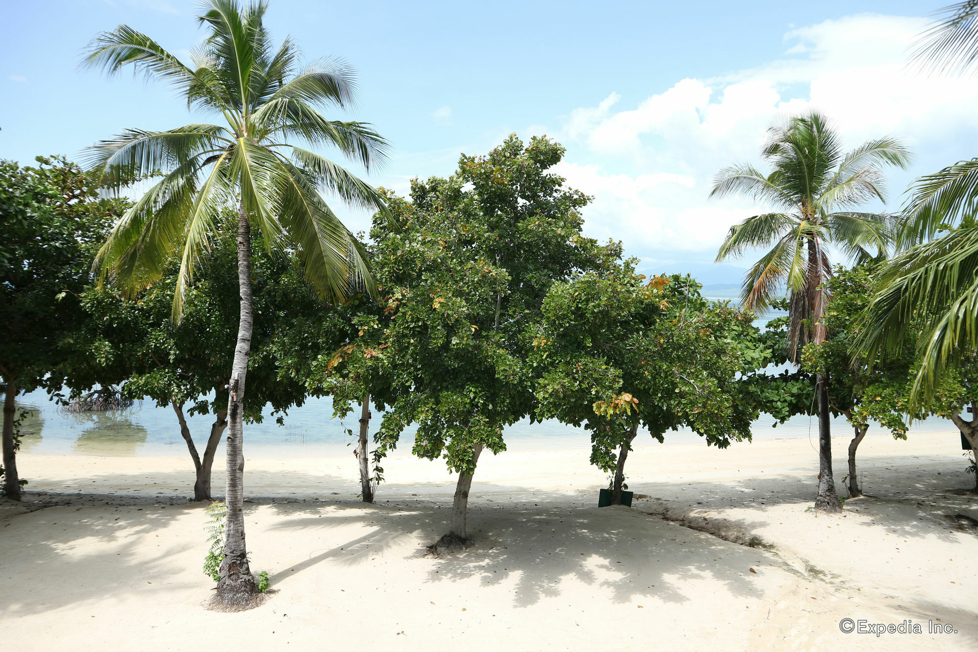 Dos Palmas Island Resort & Spa Puerto Princesa Εξωτερικό φωτογραφία