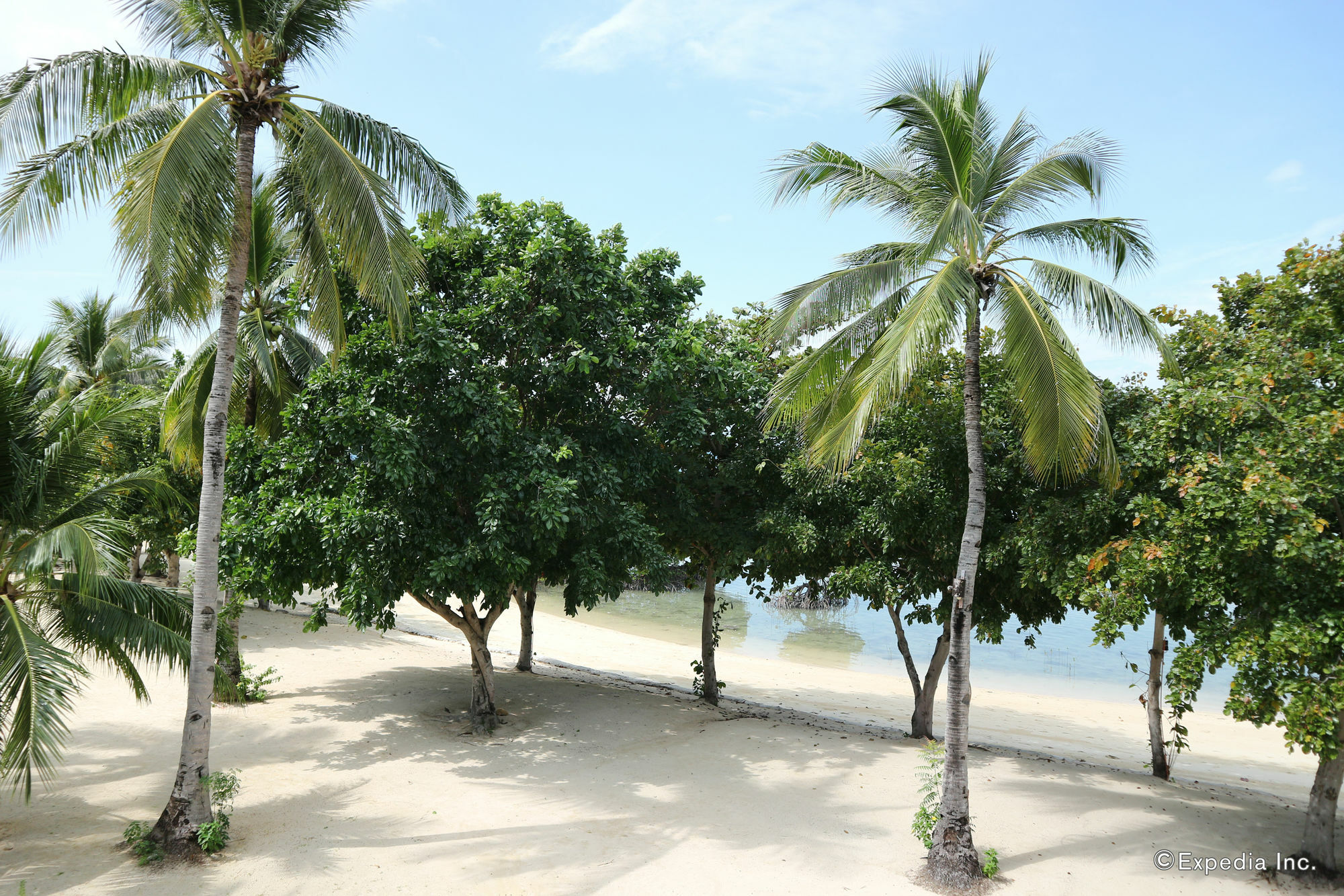 Dos Palmas Island Resort & Spa Puerto Princesa Εξωτερικό φωτογραφία