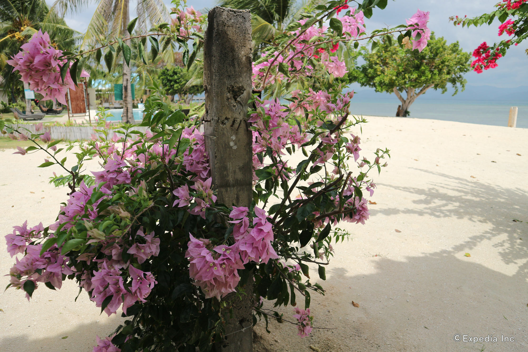Dos Palmas Island Resort & Spa Puerto Princesa Εξωτερικό φωτογραφία